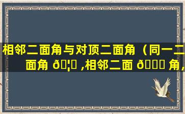 相邻二面角与对顶二面角（同一二面角 🦅 ,相邻二面 💐 角,对顶二面角）